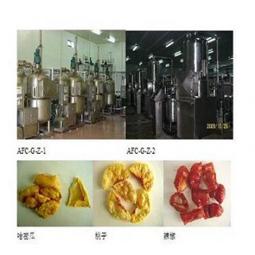 Fried Chips Process Line—Vacuum Fryer